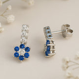 Silver earrings with blue gemstones on a light background